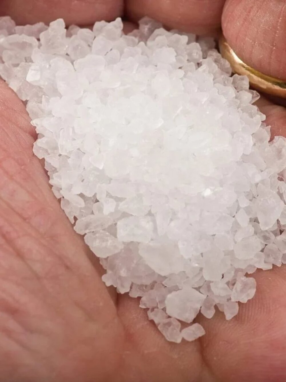 Le Saunier De Camargue Fleur de Sel French Sea Salt 4.4oz Premium Organic - Picture 4 of 6